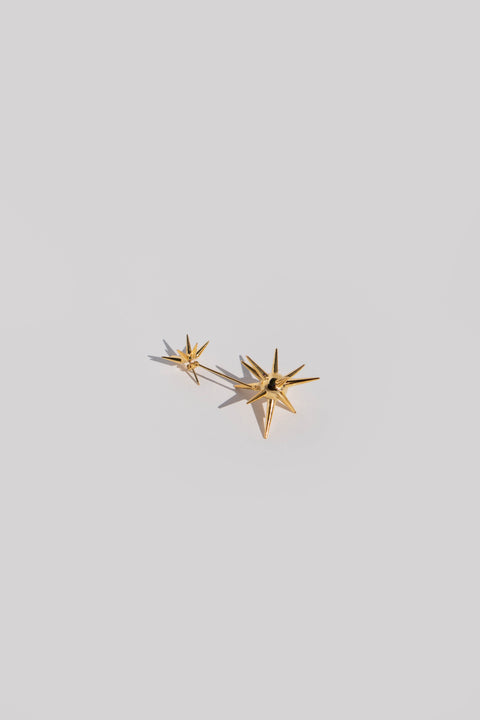 Resilient Earring